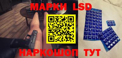 спиды Кингисепп