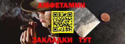 спиды Кингисепп